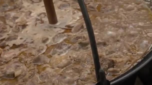 Ateşin Üzerinde Sallanan Bir Kazanda Domuz Güveci Kaynıyor — Stok video