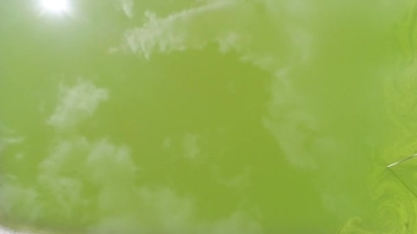 Воздушное Притяжение Открывающее Зеленый Искусственный Водоем Низким Уровнем Воды — стоковое видео