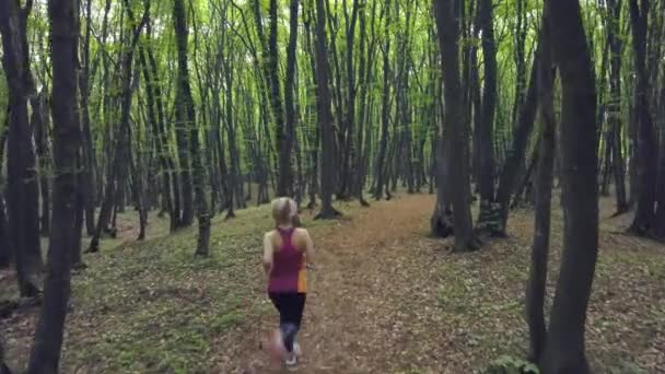Tracking Shot Young Woman Sport Outfit Running Jogging Trees Woods — Stock video