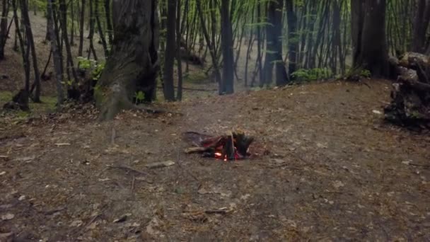 Bonfire Trees Left Abandoned Forest Fire Camp Burning Woods Alone — Stockvideo
