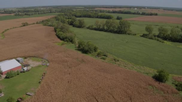 Luchtfoto Vliegboerderij Groene Ruimte Het Midwesten — Stockvideo