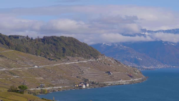 Lavaux Szőlő Egy Hideg Őszi Szeles Napon Vonat Halad Lman — Stock videók