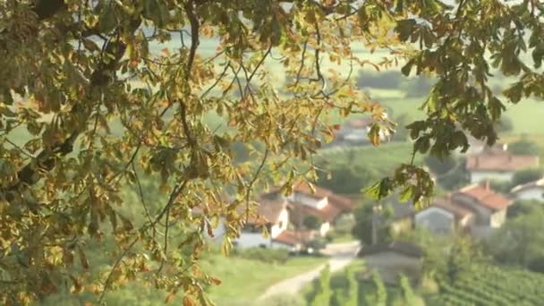 Yellow Autumn Leaves Slowmotion Mediterranian Village Background Goriska Brda Slovenia — Vídeo de Stock