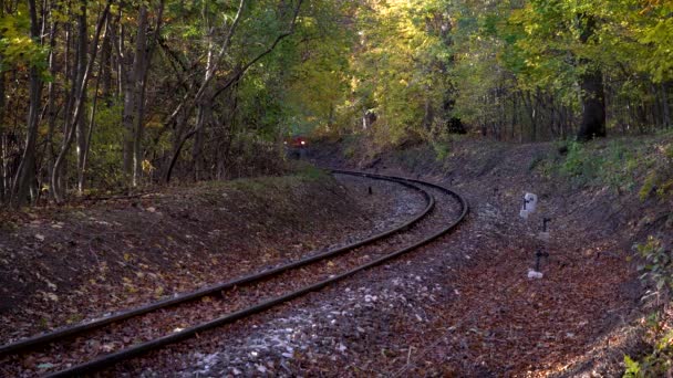 Σιδηροδρομικός Σταθμός Στο Δάσος Βουδαπέστης Ουγγαρία Καταγράφηκε Κάμερα Sony Alpha — Αρχείο Βίντεο