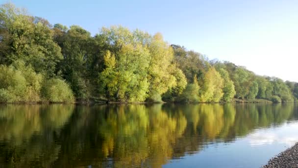 Superbe Prise Vue Une Belle Scène Automne — Video