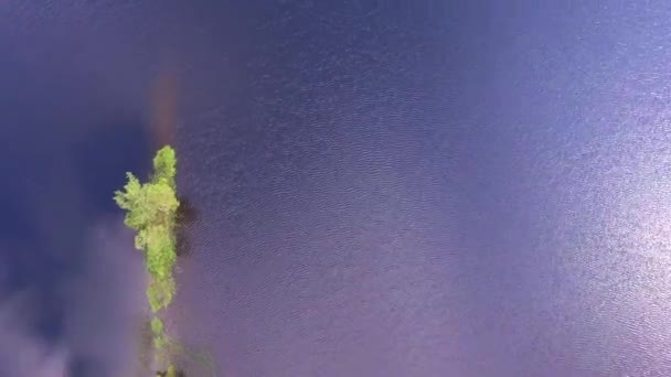 Банк Дронов Превращает Видео Потрясающего Маленького Острова Финском Лесном Озере — стоковое видео
