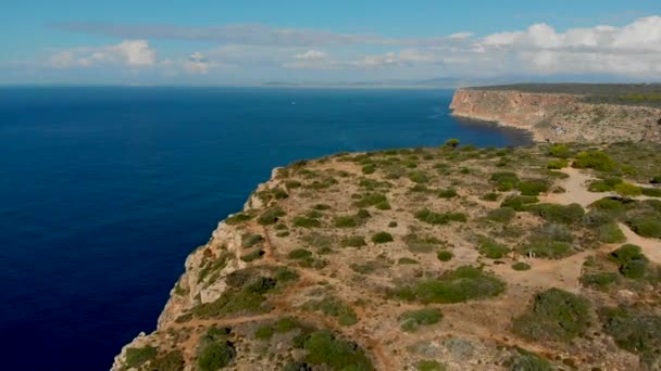 Drone Beelden Vliegen Zand Struiken Naar Kliffen Met Oceaan Achtergrond — Stockvideo