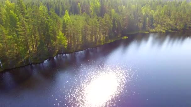 Видео Дрона Красивом Лесном Озере Финляндии — стоковое видео