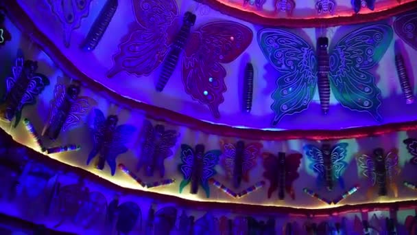 Butterfly Thema Mooi Interieur Van Pandal Tempel Van Indiase Goden — Stockvideo