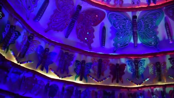 Mariposa Temática Hermoso Interior Pandal Templo Los Dioses Indios Diosas — Vídeo de stock