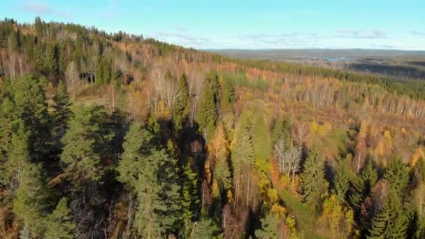 Imagens Drones Voando Sobre Uma Floresta Outono Colorida Filmado Tempo — Vídeo de Stock