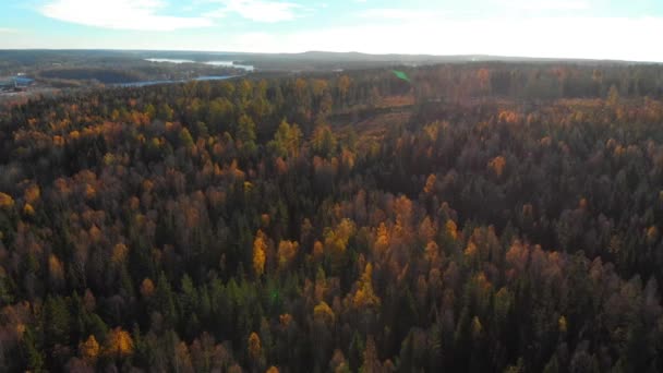 Imagens Drones Invertidos Revelando Uma Bela Floresta Outono Filmado Tempo — Vídeo de Stock