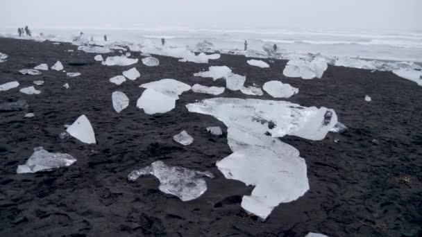 Statique Prise Vue Personnes Marchant Entre Des Blocs Glace Sur — Video