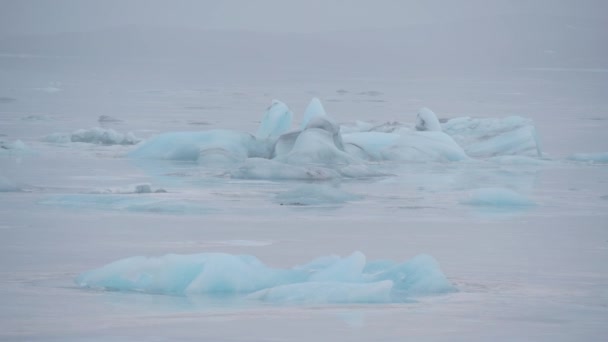 Estático Tiro Icebergs Turquesa Mar Geleira Skaftafellsjokull Dia Nublado Costa — Vídeo de Stock