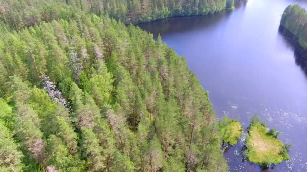 Ohromující Pohled Finskou Divočinu Natáčení Sklápění Fotoaparátu Pomalu Dolů — Stock video