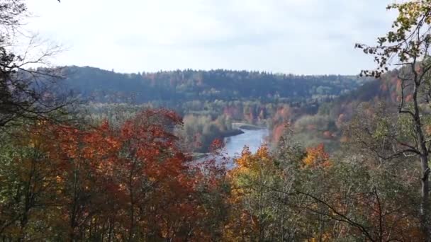 View River Autumn — Video