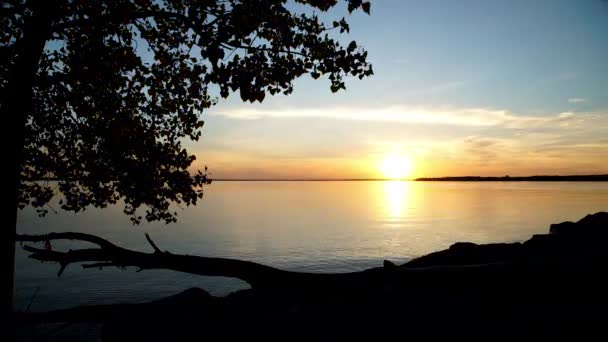 Time Lapse Orange Sunset Amongst Silhouette Tree Britannia Beach Ottawa — Stock Video