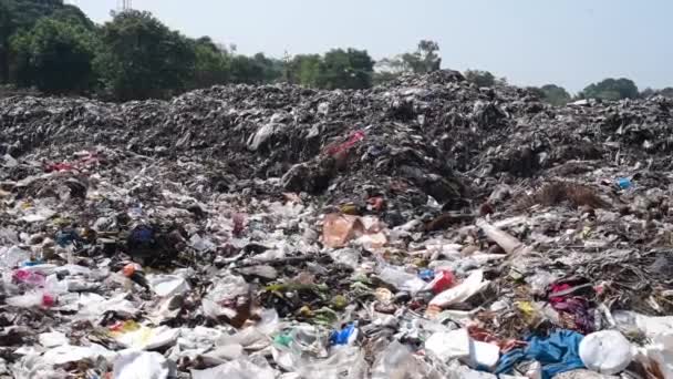 Garbage Waste Landfill Area India Causing Environmental Hazards — Stockvideo