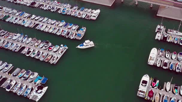 Drone Footage Boat Pulling Dock Harbor Footage Captured Dana Point — Video Stock