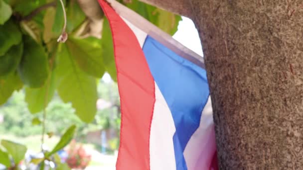 Flag Thailand Hanging Tree Ultra Slow Motion — Stock Video