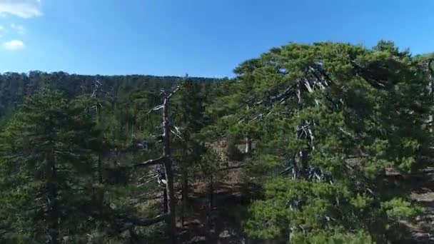 Drone Shot Ground Sky Troodos Mountain Range — ストック動画