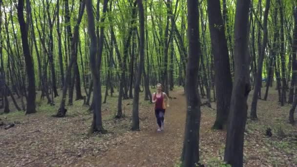 Tracking Shot Young Woman Sport Outfit Running Jogging Trees Woods — Video Stock