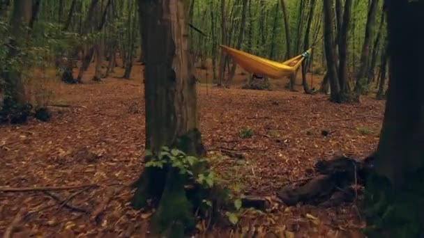 Suave Zoom Rápido Uma Garota Deitada Uma Rede Floresta — Vídeo de Stock