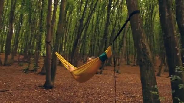 Glide Cam Círculos Uma Menina Sorrindo Uma Rede Floresta — Vídeo de Stock