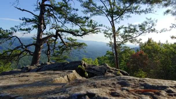 Θέα Του Εθνικού Πάρκου Great Smoky Mountains Δέντρα Πρώτο Πλάνο — Αρχείο Βίντεο