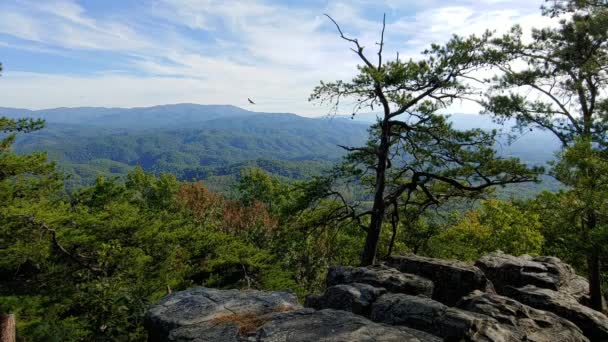 Θέα Από Πάρκο Foothills Στο Εθνικό Πάρκο Great Smoky Mountains — Αρχείο Βίντεο