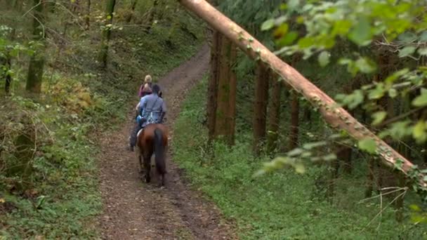 Três Pessoas Montando Cavalos Floresta Tiro Largo Três Cavaleiros Caminho — Vídeo de Stock