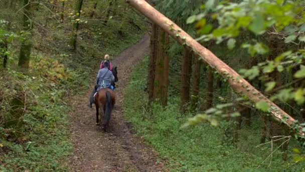 Filmagem Câmara Lenta Três Cavaleiros Floresta Pessoas Montando Cavalos Floresta — Vídeo de Stock