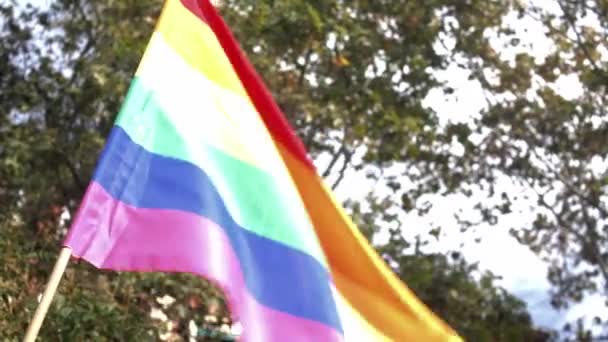Rainbow Flag Waving Wind Seen Madrid — Vídeos de Stock