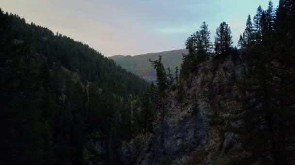 Вид Воздуха Осенний Лес Горах Каньона Биг Фаунвуд Расположенного Штате — стоковое видео