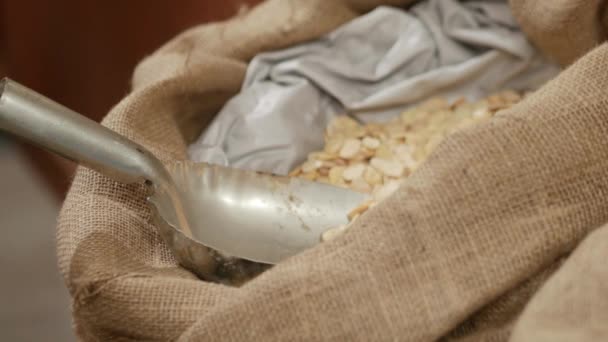 Close Bulk Bin Broad Fava Beans Being Scooped Paper Bag — Video Stock