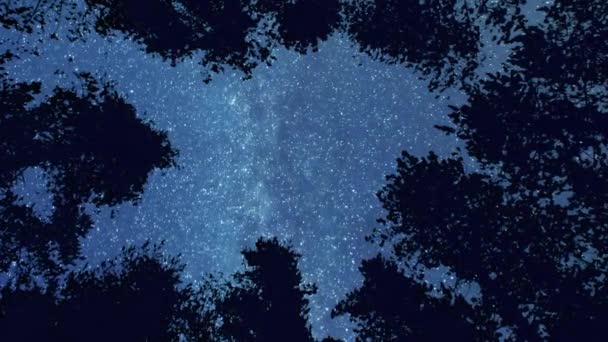 Langit Malam Yang Tenang Hutan Tilapse Zoom Out — Stok Video
