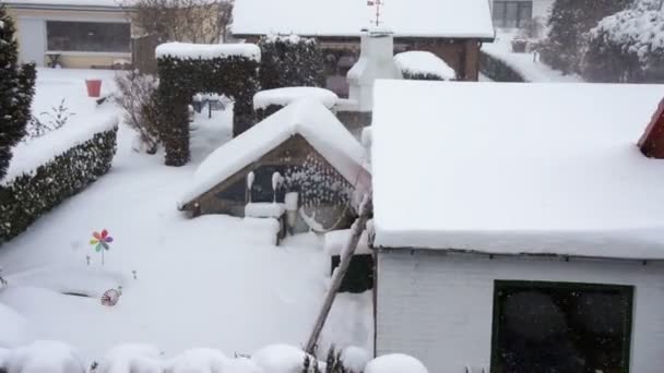 Pesante Effetto Lago Nevicata Giardino Amburgo — Video Stock