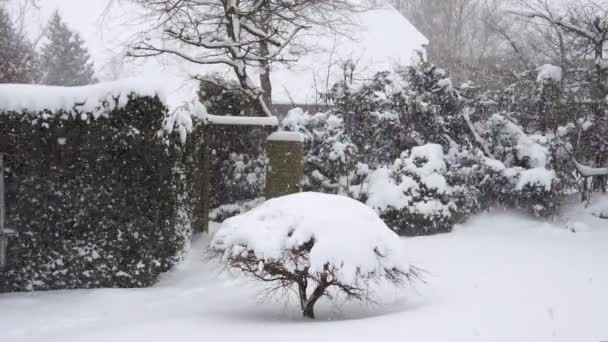 ハンブルクの庭園での豪雪 — ストック動画