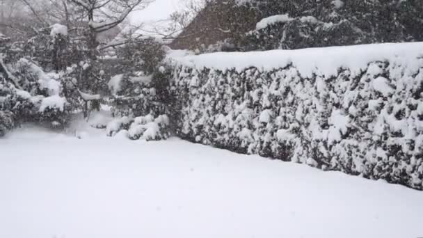 Tung Sjö Effekt Snöfall Trädgård Hamburg — Stockvideo