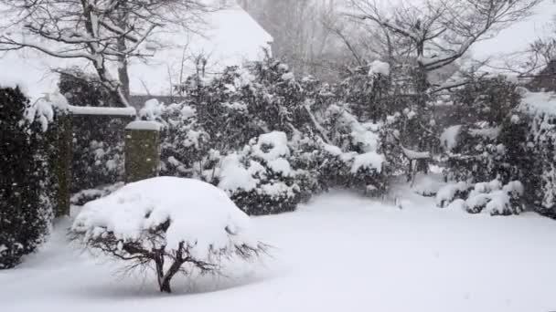 Heftiger Schneefall Einem Garten Hamburg — Stockvideo