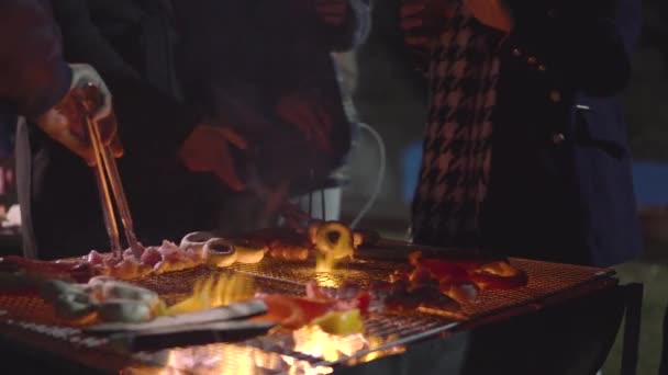 Les Gens Debout Devant Barbecue Boire Griller Des Champignons Saucisse — Video