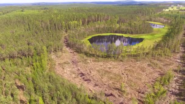 Aerial Footage Two Beautiful Forest Ponds Middle Logging Area Big — Stockvideo