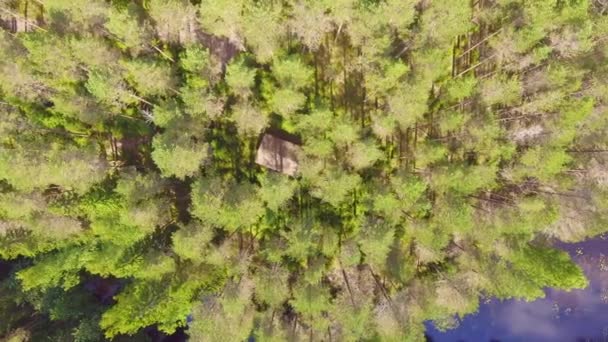 Drone Video Una Cabina Segreta Nascosta Nella Natura Selvaggia Finlandese — Video Stock