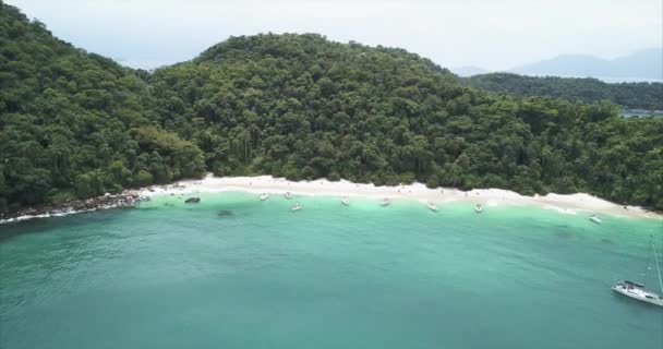 Tropical Island Rio Brazil — Stockvideo