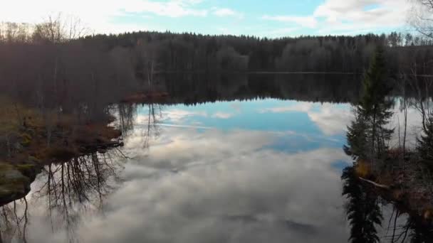 Flying Low Altitude Small Lake Green Trees Blue Sky Clouds — Vídeo de Stock