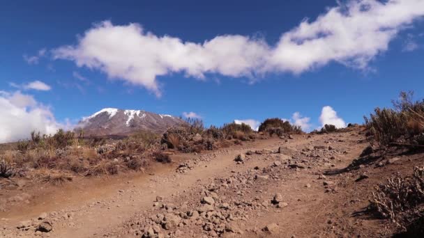 Статический Снимок Человека Идущего Гору Килиманджаро Несущего Вещи Голове Солнечный — стоковое видео