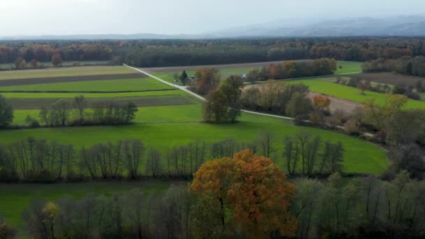 Aerial View Green Farmland Slovenia — Vídeos de Stock