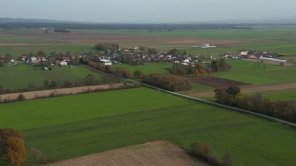Αεροφωτογραφία Της Podova Ενός Αγροτικού Χωριού Στην Ανατολική Σλοβενία Νότια — Αρχείο Βίντεο