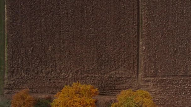 Top Aerial View Plowed Farm Field Fall Colored Trees — Vídeo de Stock
