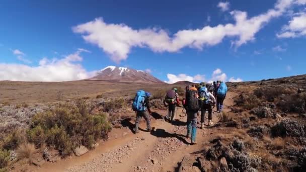 Static Shot Group People Hiking Summit Mount Kilimanjaro Sunny Day — Stockvideo